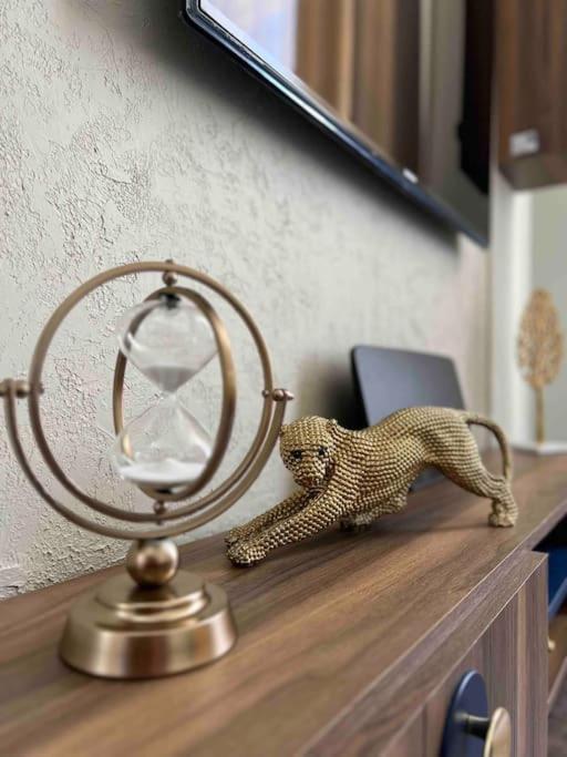 Plein Coeur Du Centre Historique De Perigueux . Apartment Ngoại thất bức ảnh